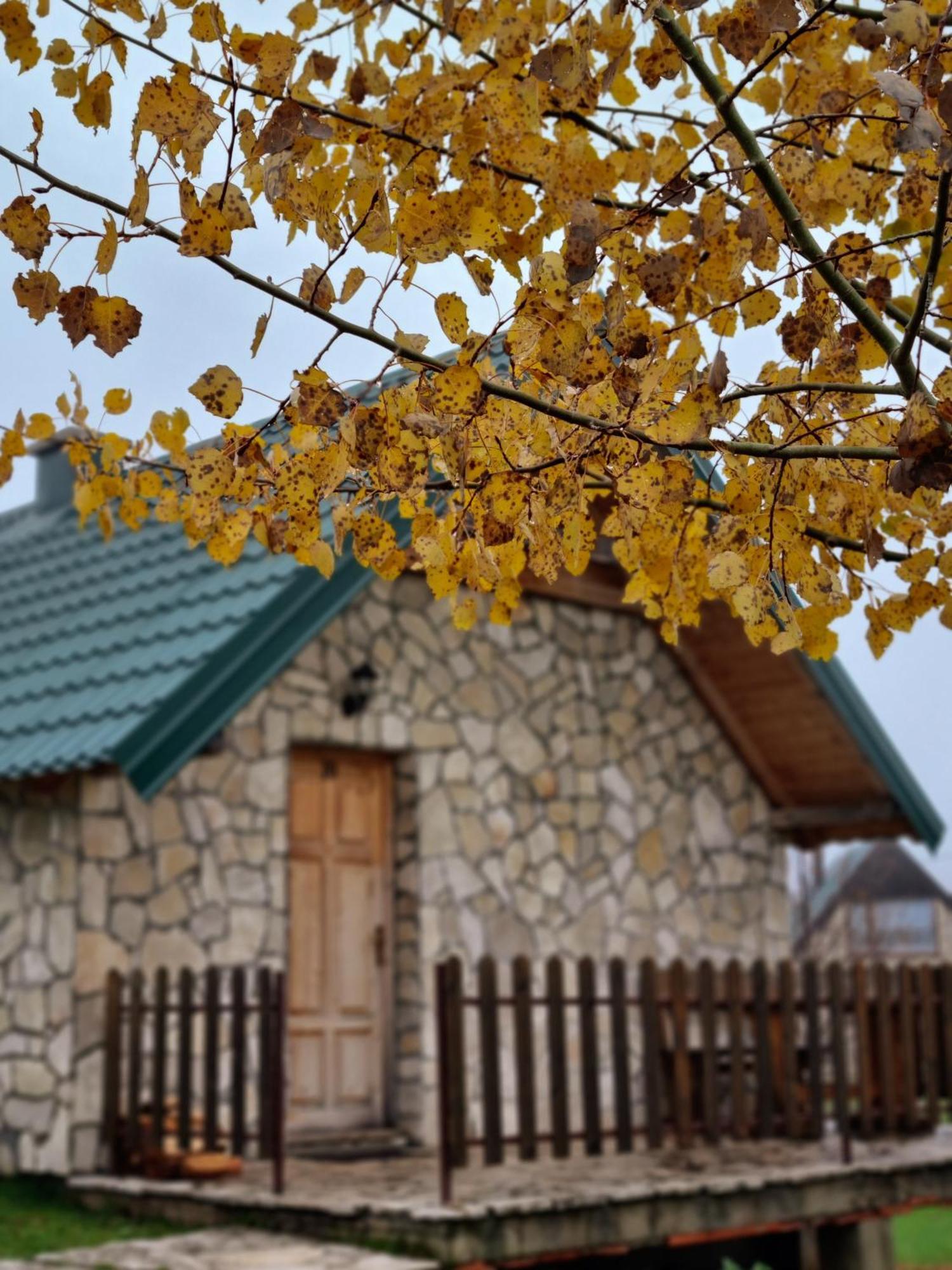 Villa Etno Selo Izlazak à Rudinice Chambre photo